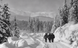 Enigma of Dyatlov Pass: What Really Happened?